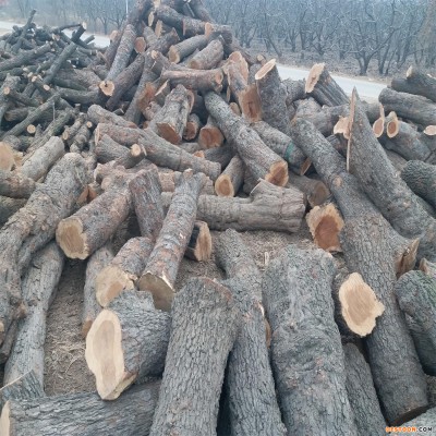 常年大量供应优质枣木原木 出售小头直径25-50公分枣木原木