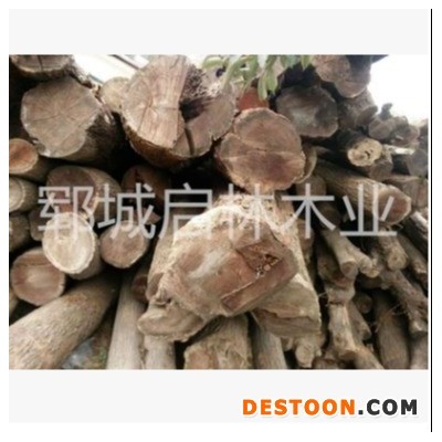 启林 供应杜梨木原木 杜梨木原木价格