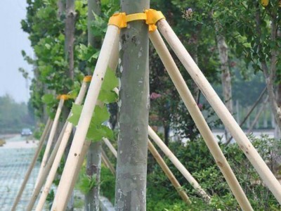 原木支撑架 固定树木支撑架 园林绿化用支撑 一匡 供应厂家