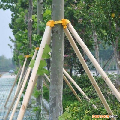 原木支撑架 固定树木支撑架 园林绿化用支撑 一匡 供应厂家