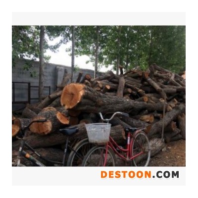 启林 大量供应用于雕刻 枣木原木木材 枣木原木厂家