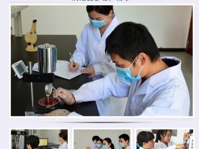 南宁红木修补胶 世林胶业批发木材胶粘剂修补木材胶实木修补胶木材裂缝修补胶透明木材胶红木修补胶木材裂缝修复胶水SL3601图1