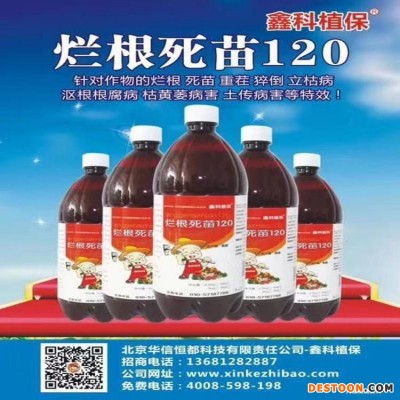 辣椒得了黑斑病  番茄细菌性叶斑病图片  柑橘褐腐病用什药好  玫瑰扦插根腐病  西红木市根肿病的防治?