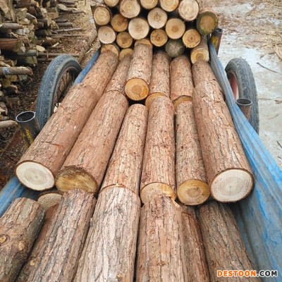 松木打桩木材 4米 原木实木圆柱 河道护岸3米 圆木桩 景观绿化杉木支撑 杉木杆