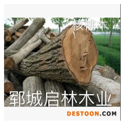 启林 大批量供应用于木雕/制作家具核桃木原木木材 核桃木价格