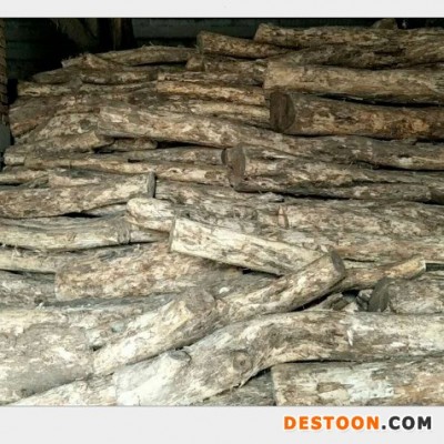 启林 大批量供应用于工艺品木雕黄杨木原木