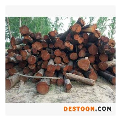 启林 大量供应本地香椿板材多用于仿古家具及工艺品 香椿原木木材