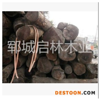 启林 供应用于制作地板/细木制品/甲板/楼梯踏板等桑木原木木材