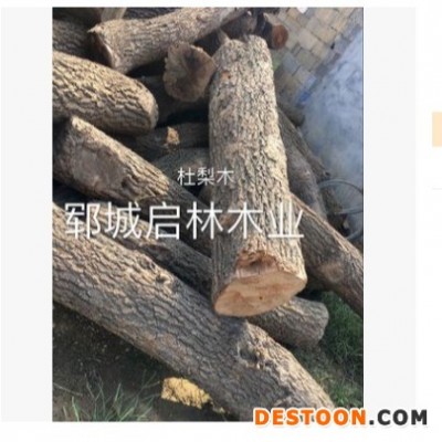 启林 长期大批量供应用于雕刻的杜梨木原木木材 杜梨木厂家