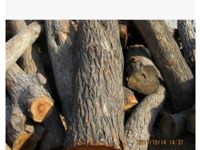 启林 大批量供应用于家具 首饰等工艺品 杏木原木木材板材 价格实惠