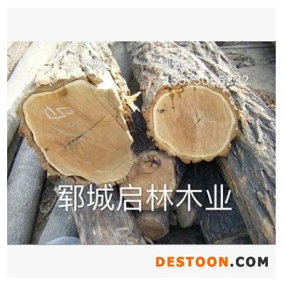 启林 大量供应用于车辆/建筑/矿柱等 刺槐原木木材 价格实惠