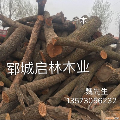 启林 大批量供应用于工艺品 木雕等用杏木原木 厂家直销