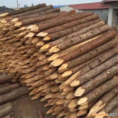 冀成林场产地直发原木带皮松木1米-6米防汛木桩规格齐全