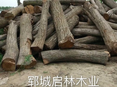 启林大批量供应用于木雕/制造家具用核桃木原木