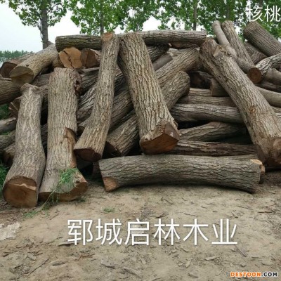 启林大批量供应用于木雕/制造家具用核桃木原木