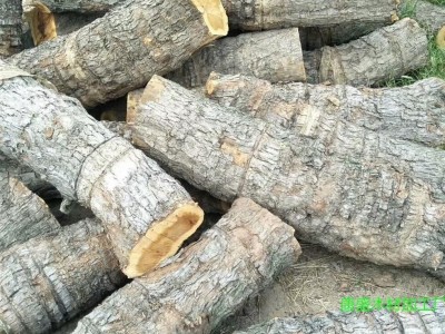 厂家直销工艺枣木 直径15-40公分工艺枣木  雕刻枣木  大直径枣木原木