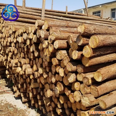 货场直供6米7米8米原木杉杆杉木杆电力工程防护用沙杆