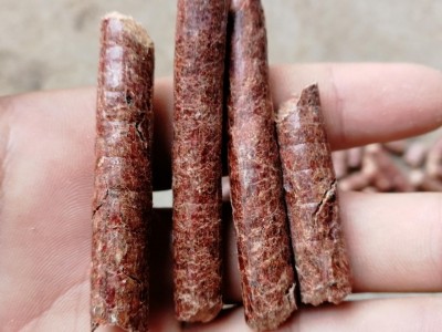 河南生物质松木颗粒燃料