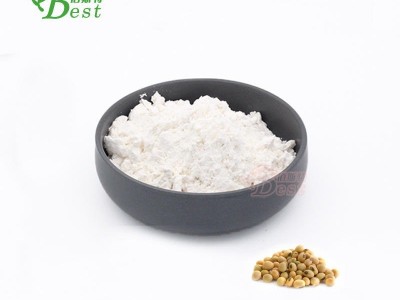 植物甾醇97% 松木来源 贝塔谷甾醇 食品级谷甾醇 厂家直销 量大优惠 佰斯特生物 提取物厂家
