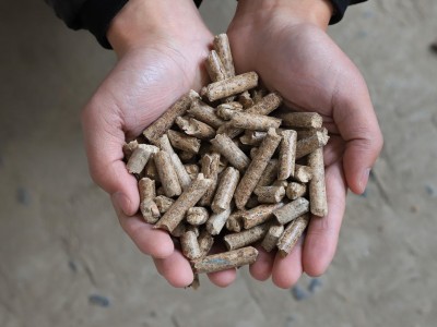 生物厂家售松木颗粒优质原料热值高秸秆颗粒 生物质颗粒燃料 舍予