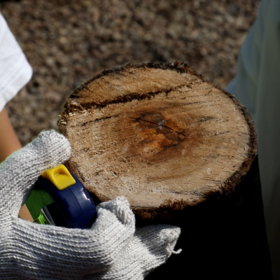 移动树枝粉碎机 用于加工松木、杂木、扬木、杉木