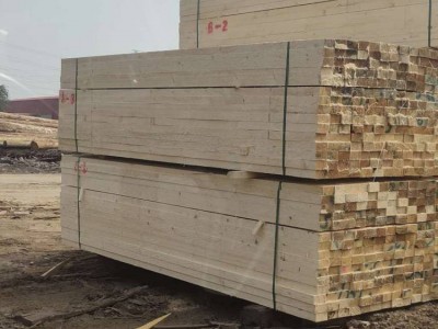 定制木方 松木方子木材 3*7木方 品质保证 方木 工地木方 4*9 木方板材