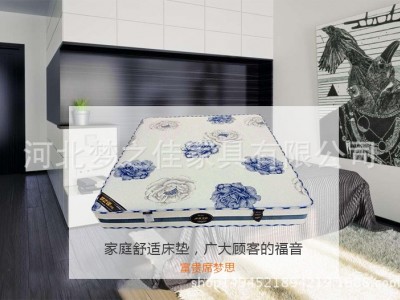 椰棕床垫弹簧床垫酒店家用席梦思定做正反两用 床垫厂家批发图2
