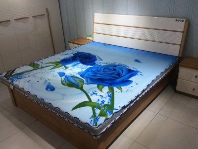 厂家批发 椰棕软棕床垫 床垫 椰棕芯 3D印花床垫成人床垫可定制图3