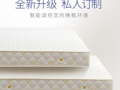海马席梦思弹簧床垫软垫经济型1.8米椰棕垫软硬适中加厚20cm家用图3