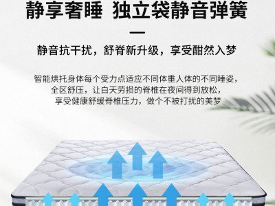 弹簧床垫席梦思纯棉针织布乳胶床垫软硬两用酒店公寓式床垫批发图3
