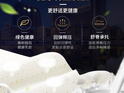 弹簧床垫席梦思纯棉针织布乳胶床垫软硬两用酒店公寓式床垫批发图2
