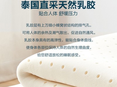 家用五星级酒店床垫乳胶独立袋弹簧椰棕民宿宾馆公寓批发席梦思图4