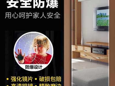 厂家直销现代简约全身镜 无框穿衣镜 全身镜贴墙 定制试衣镜代发图3