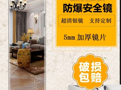 厂家直销现代简约全身镜 无框穿衣镜 全身镜贴墙 定制试衣镜代发图4