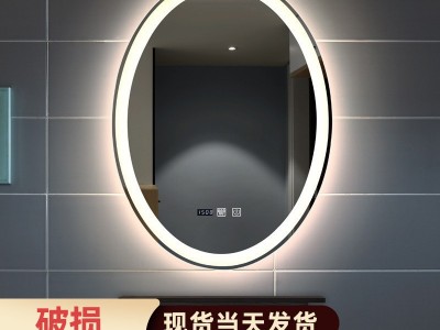 智能镜子led化妆镜椭圆防雾卫生间镜子壁挂洗手间带灯欧式浴室镜图5