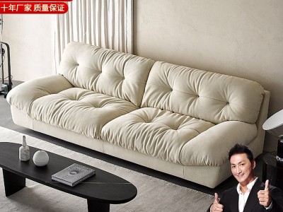 意式极简布艺沙发现代轻奢高档科技布沙发客厅小户型直排羽绒沙发图1