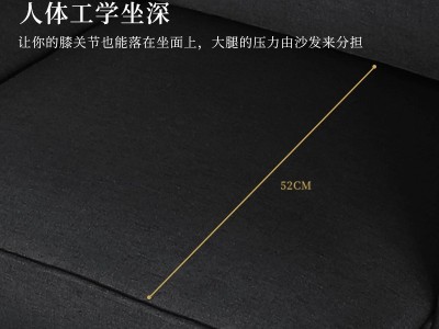 简约布艺客厅配套沙发 轻奢布艺铆钉拉扣双人三人沙发家具小户型图2