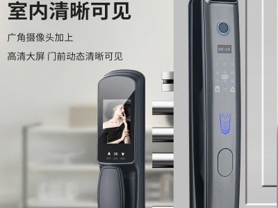 全自动3D人脸识别智能锁家用入户防盗门指纹锁猫眼可视手机远程开图2