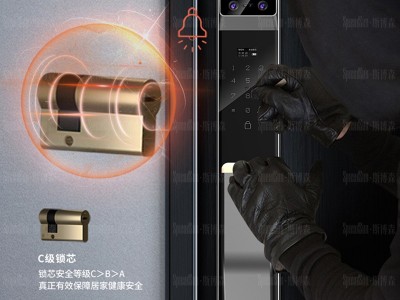 全自动精雕3D人脸识别扫描智能锁指纹锁电子密码门锁手机远程抓拍图2