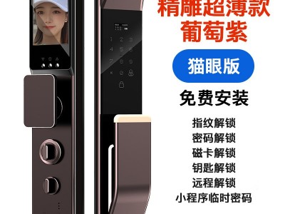 全自动精雕3D人脸识别扫描智能锁指纹锁电子密码门锁手机远程抓拍图5