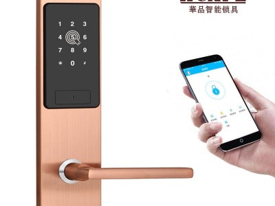 厂家直供公寓密码锁蓝牙不锈钢锁刷卡密码锁远程APP锁新款薄款锁图2