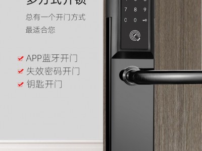 名宿日租短租房大门锁 公寓密码锁出租房酒店宾馆智能锁远程APP锁图5
