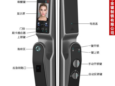 面部电子门锁家用智能锁人脸识别指纹锁家用防盗锁全自动智能锁图4