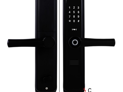 分左右款 指纹锁 ic刷卡锁 密码锁 家用防盗门电子锁 手机APP开锁图4
