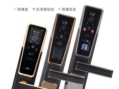 中控指纹+面部+MF刷卡+钥匙混合识别智能锁家用防盗门锁图4