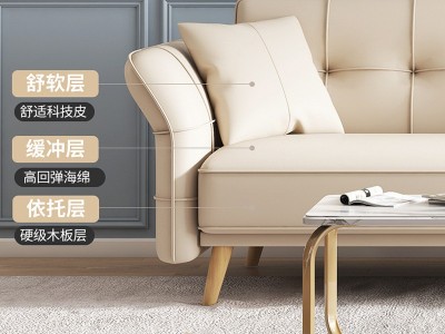 北欧简约现代科技布沙发床小户型客厅三人位2.2米折叠两用多功能图3