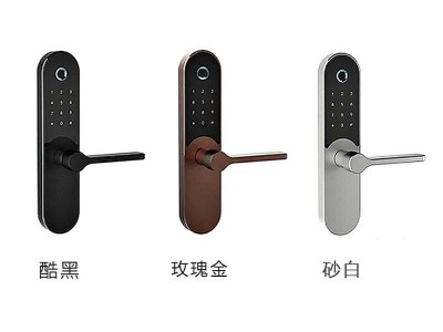 厂家民宿家用锁供应 太空铝智能感应锁 木门免布线指纹密码锁批发图2