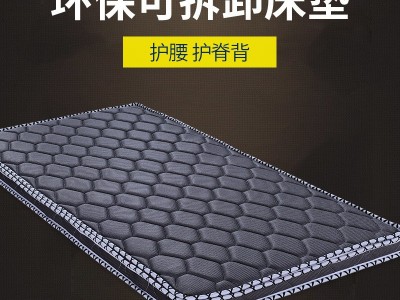 厂家直销天然环保3E椰棕床垫 50mm可拆卸网眼3E椰棕床垫批发图2