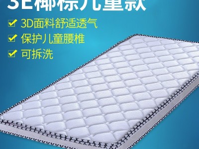 厂家直销天然环保3E椰棕床垫 50mm可拆卸网眼3E椰棕床垫批发图1