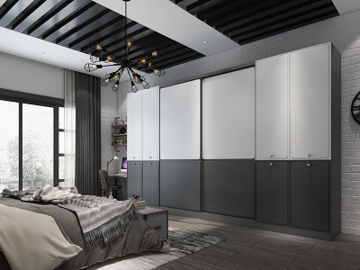 木纹板式整体衣柜 白色组合衣柜 衣帽间整体衣柜图3